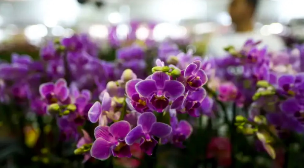 Primavera começa, com a chegada de frente fria